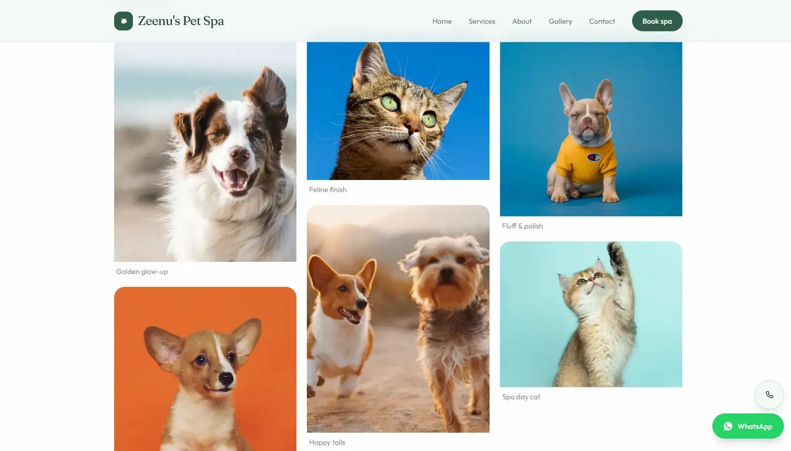 Zeenu's Pet Spa — Bangalore grooming site website screen